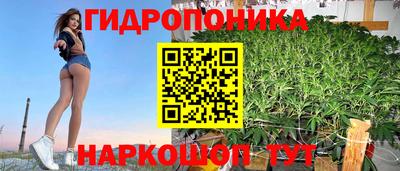 амф Севастополь