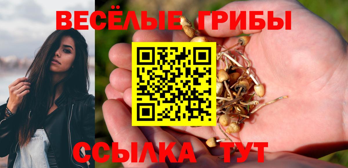 Псилоцибиновые грибы Cubensis Омск